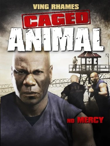 Theatrical Poster