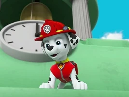 Pups Save Alex's Mini-Patrol/Pups Save a Lost Tooth
