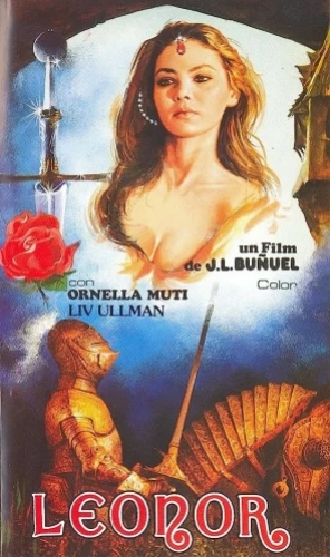 VHS Cover (France)