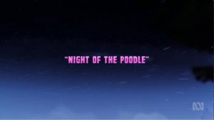 Night of the Poodle