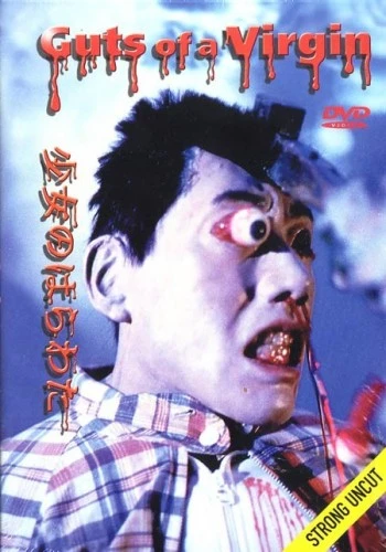 DVD Cover (Japan)