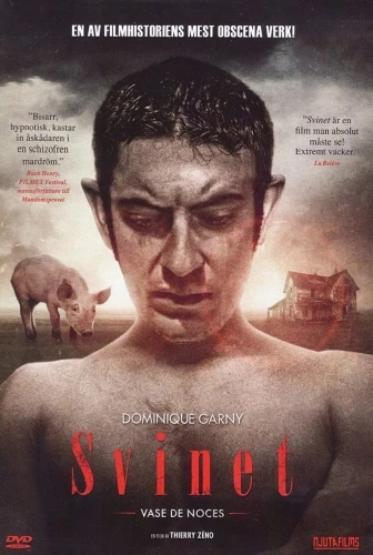 DVD Cover (Sweden)