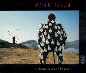 Delicate Sound of Thunder
