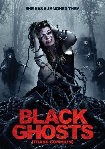 DVD Cover (Wild Eye Releasing)