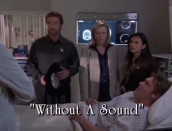 Without a Sound