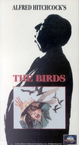 VHS Cover (Universal)