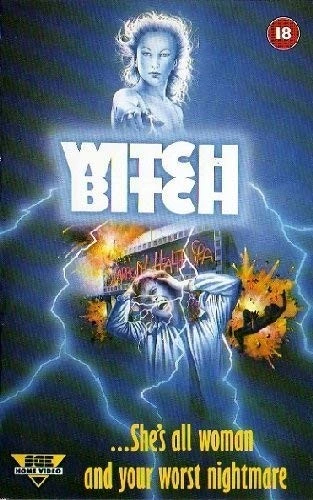VHS Cover (UK)