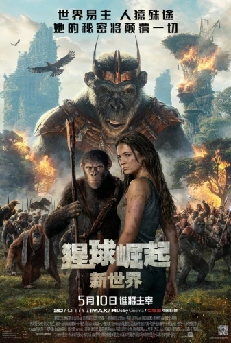 Theatrical Poster (China)
