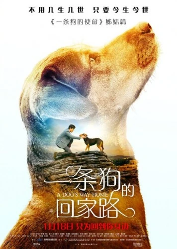 Theatrical Poster (Japan)