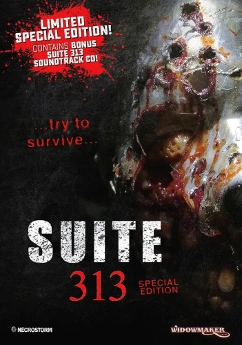 DVD Cover (Bayview Entertainment)
