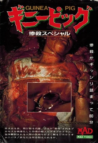 DVD Cover (Japan)