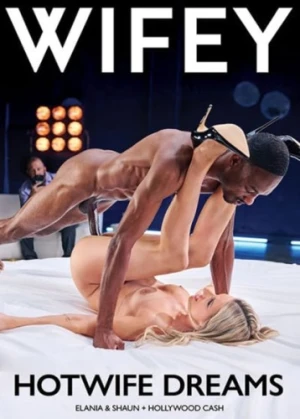 DVD Cover (WIFEY)
