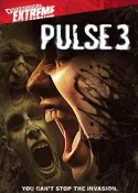Pulse 3