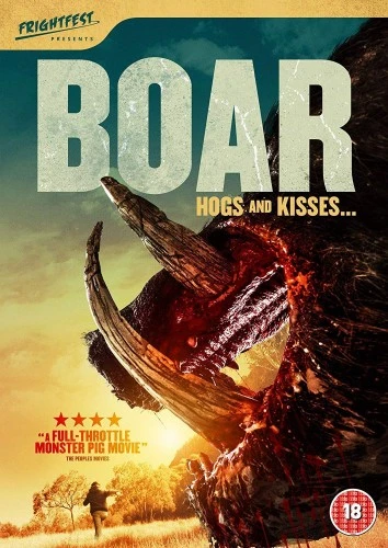 DVD Cover (UK)