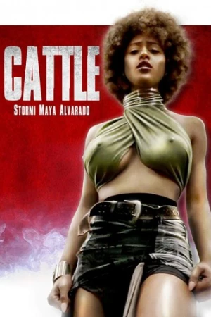 Theatrical Poster