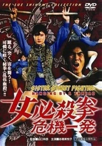 DVD Cover (Toei Company)