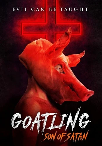 DVD Cover (101 Films)