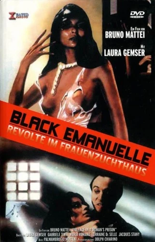 DVD Cover (Cineworld)