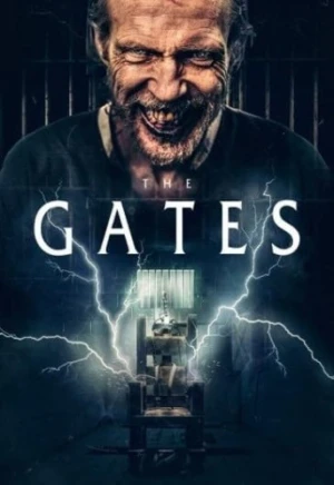DVD Cover (101 Films)