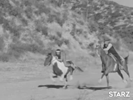 Horse Race