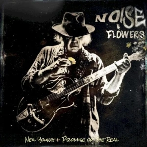 Noise & Flowers