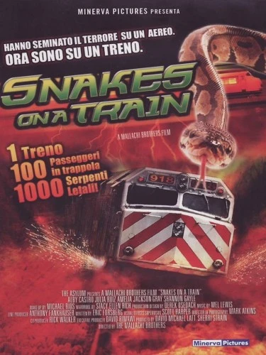 DVD Cover (Spanish)