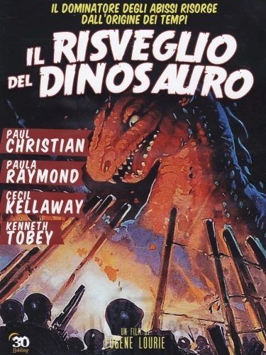 DVD Cover (Italy)