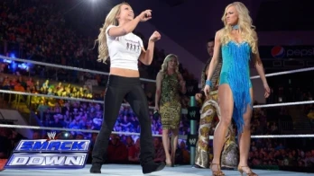 Countdown to Elimination Chamber 2014