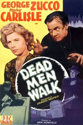 Theatrical Poster