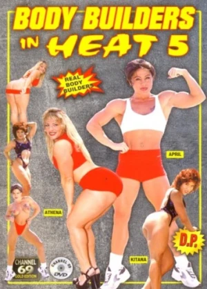 DVD Cover (Channel 69)