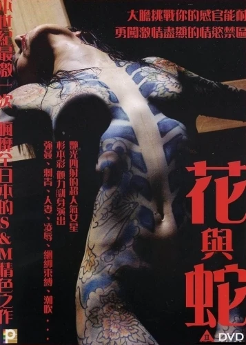 DVD Cover (Japan)