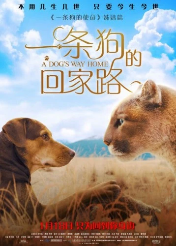 Theatrical Poster (Japan)