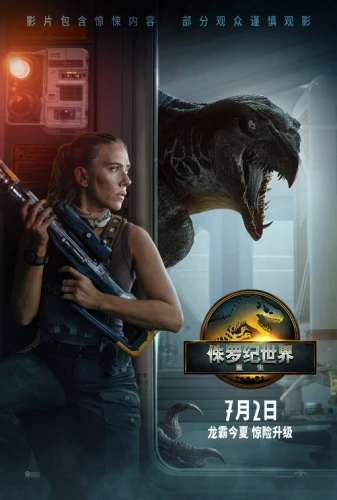 Theatrical Poster (China)