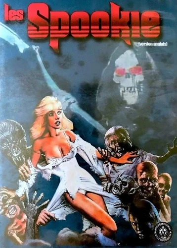 DVD Cover (France)