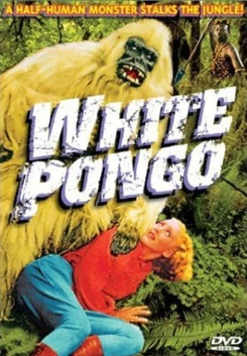 DVD Cover (Alpha Video)