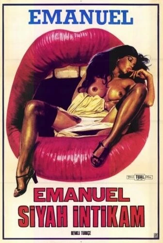Theatrical Poster (Turkey)