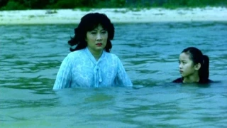 Hong Dou Liu