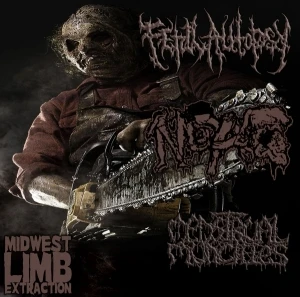 Midwest Limb Extraction