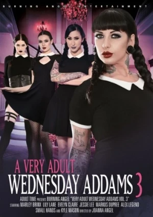 DVD Cover (Burning Angel Entertainment)