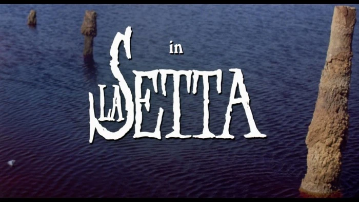 Title Card