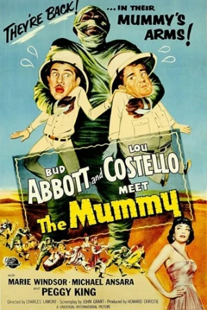 DVD Cover (Universal)