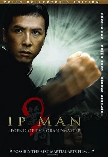 DVD Cover (Well Go USA Collector's Edition)