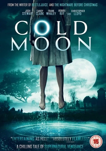 DVD Cover (UK)