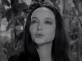 The Addams Family Goes to School