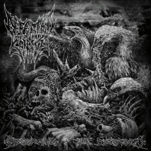 Mortal Decay / Defeated Sanity