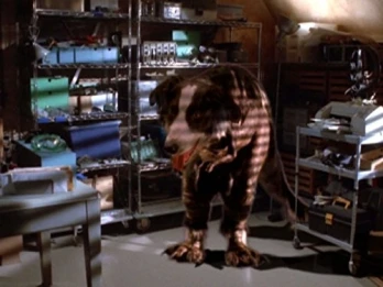 Honey, It's Quarkzilla