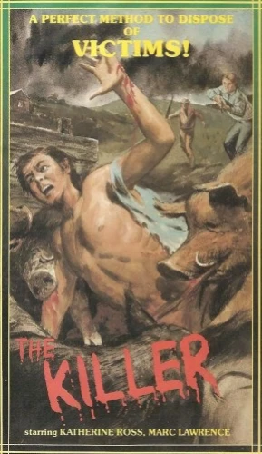 VHS Cover (Unknown)
