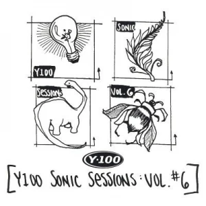 Y-100: Sonic Sessions, Volume 6