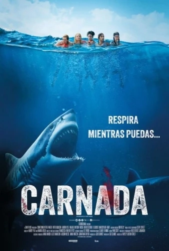Theatrical Poster (Spanish)