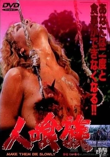 DVD Cover (Japan)